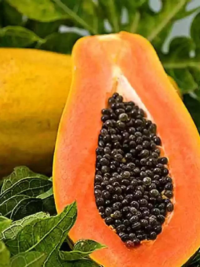 papaya