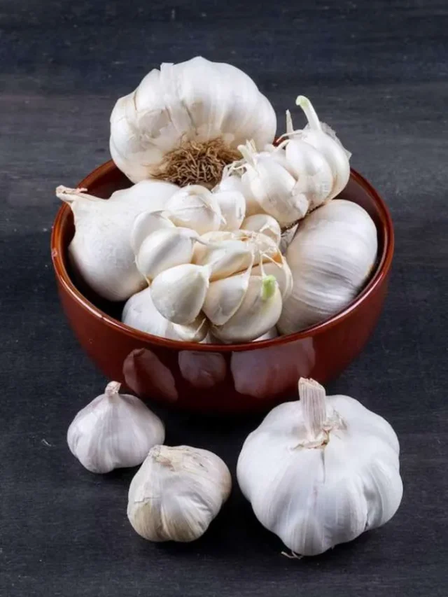garlic benefits