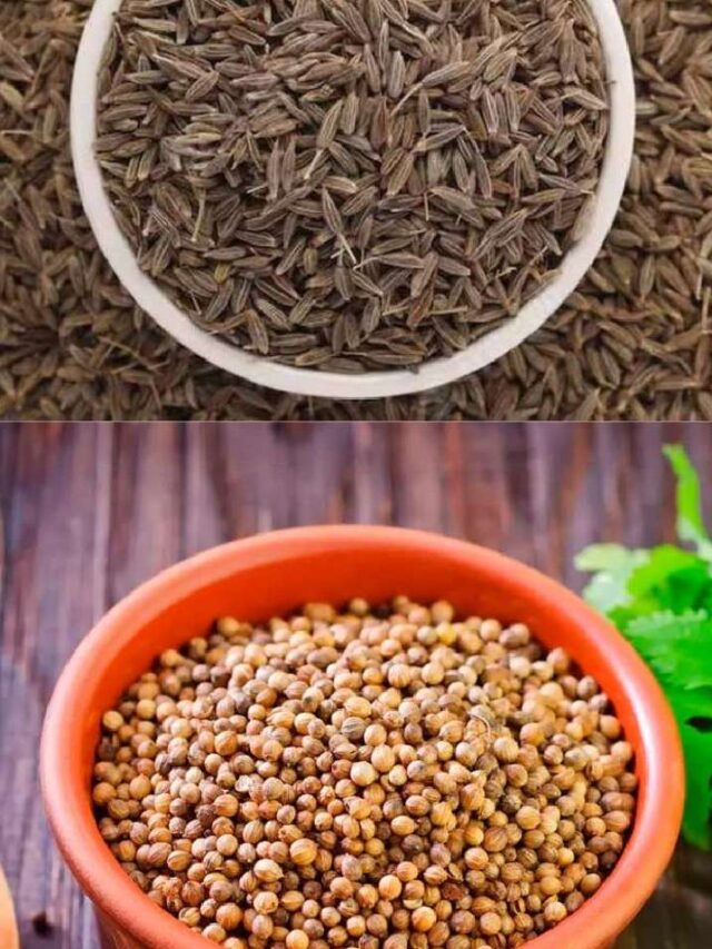 dhniya ya jeera kiska pani hai fydemand