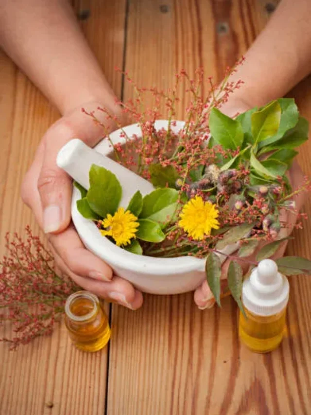 close-up-of-hands-holding-herbs