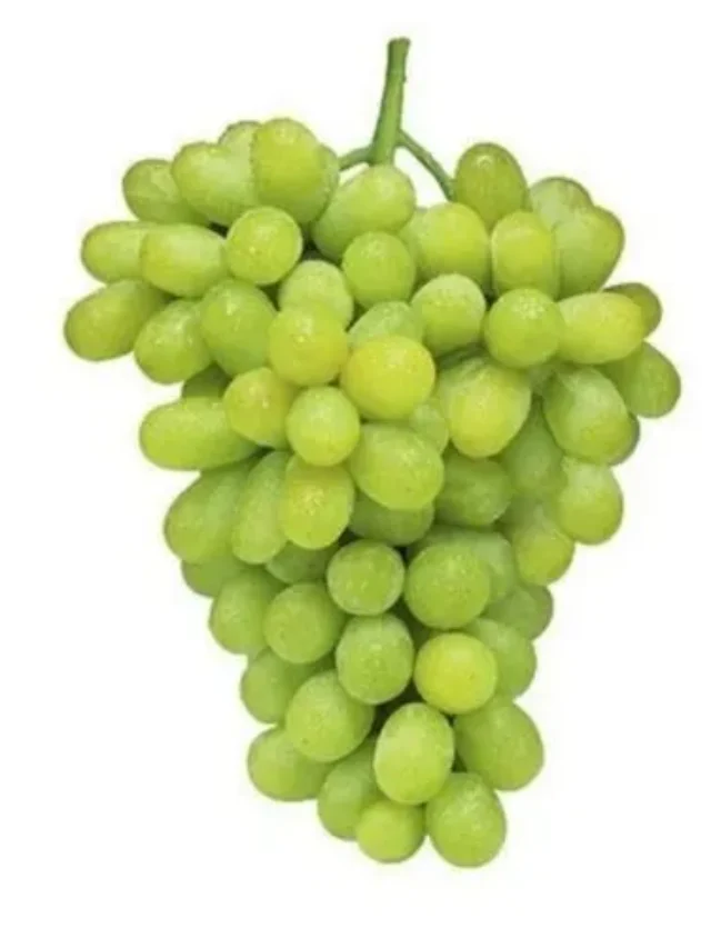 product-jpeg-500x500