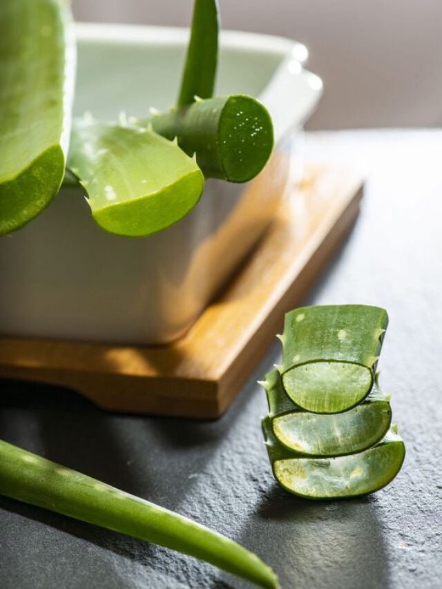 aloe vera jail ke fayde