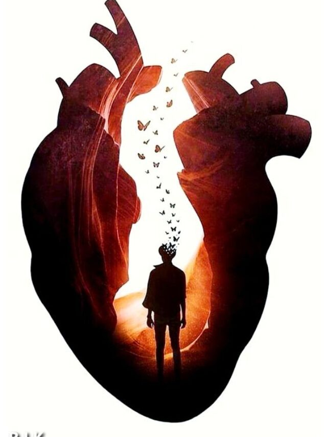 dil ko healthy rakhte hai yeh dry fruits