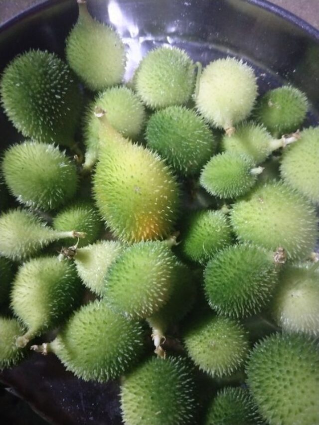 kantola ki sabji ke fayde