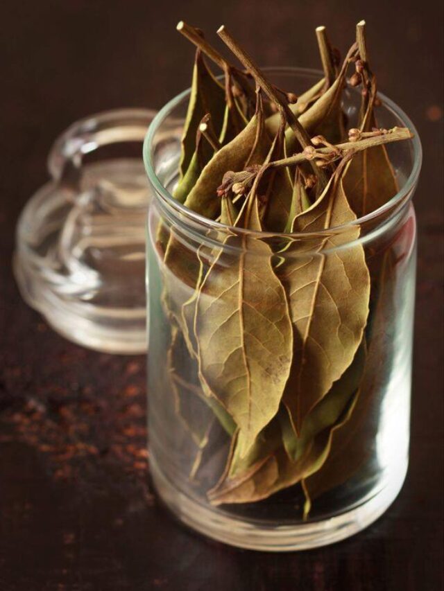 tejpatta khane ke fayde